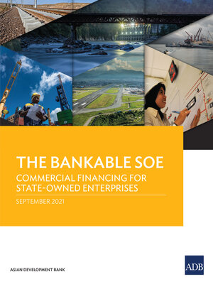 cover image of The Bankable SOE